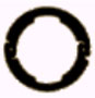 Inter Locking Ring